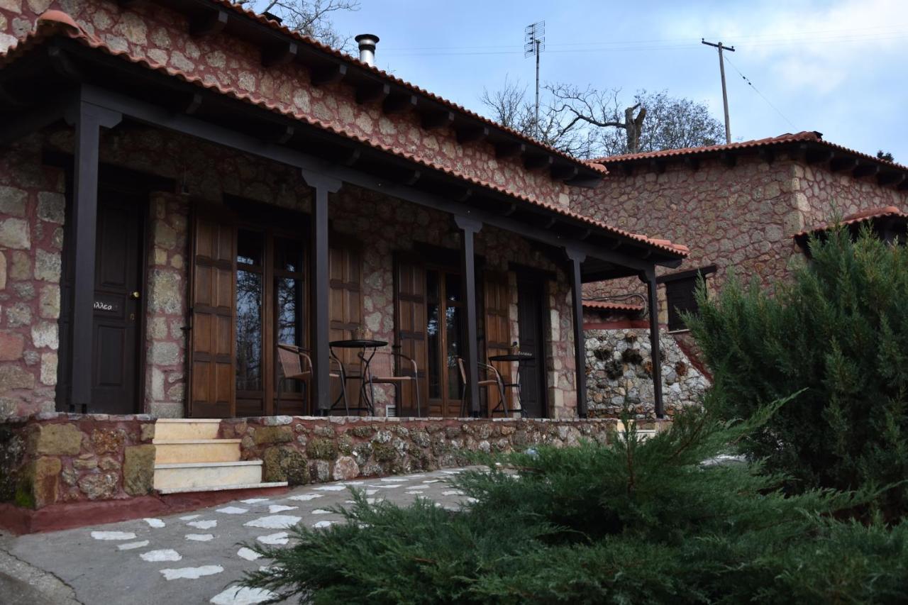 Paliokastro Guesthouse Kato Sinikia Trikalon Luaran gambar