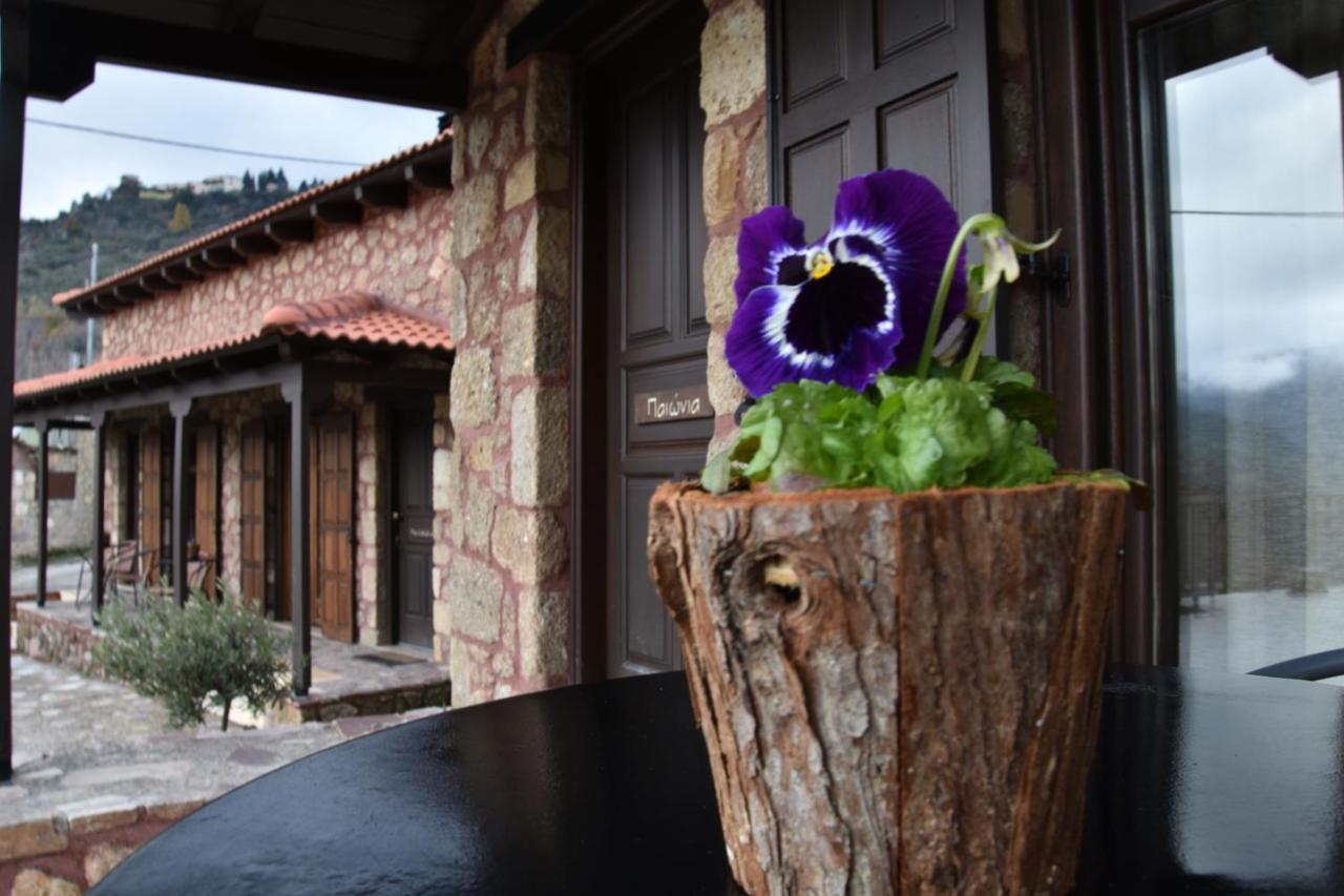 Paliokastro Guesthouse Kato Sinikia Trikalon Luaran gambar